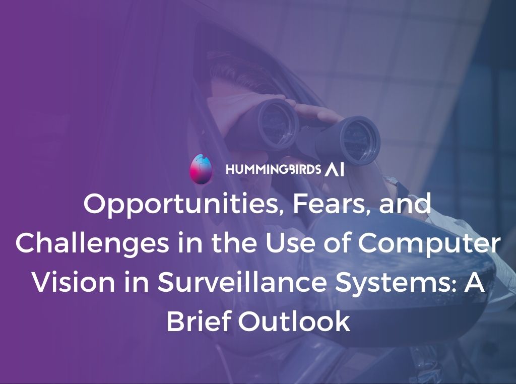 Opportunities, Fears, and Challenges in the Use of Computer Vision in Surveillance Systems: A Brief Outlook